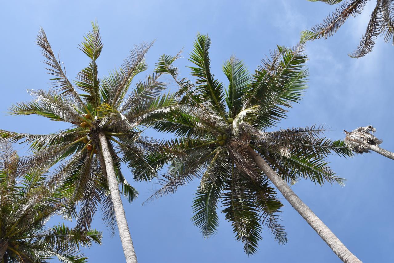 Magic Resort Lamai Beach  Exterior foto
